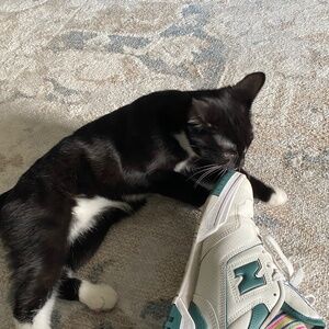 Meet your Posher, Reese